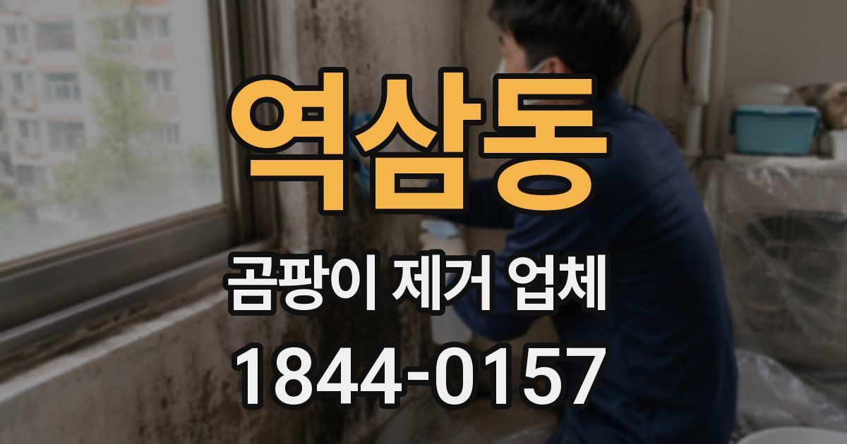 역삼동 곰팡이 제거 업체