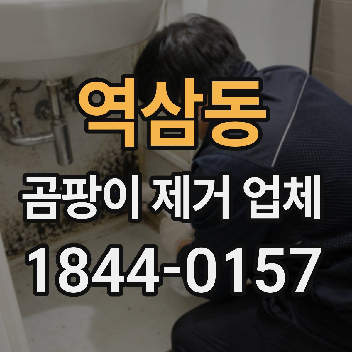 역삼동 곰팡이 제거 업체