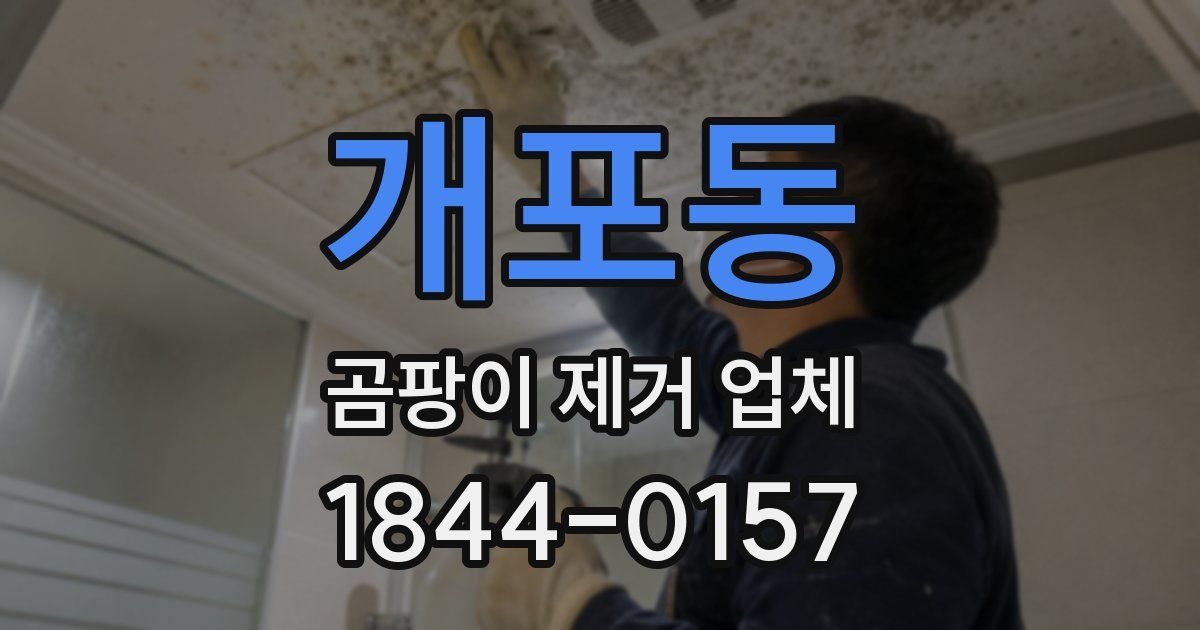 개포동 곰팡이 제거 업체