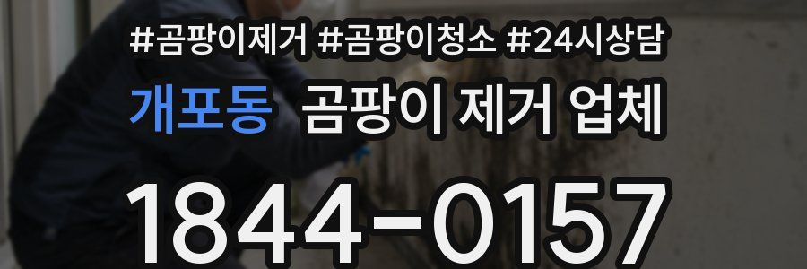 개포동 곰팡이 제거 업체