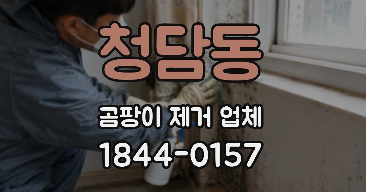 청담동 곰팡이 제거 업체