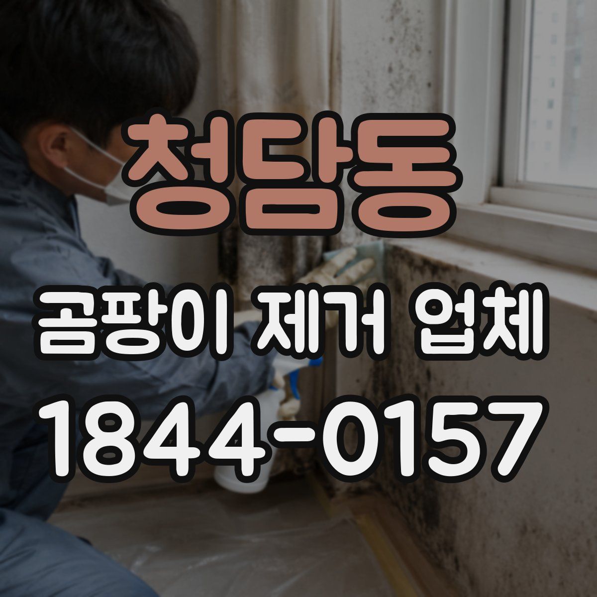 청담동 곰팡이 제거 업체