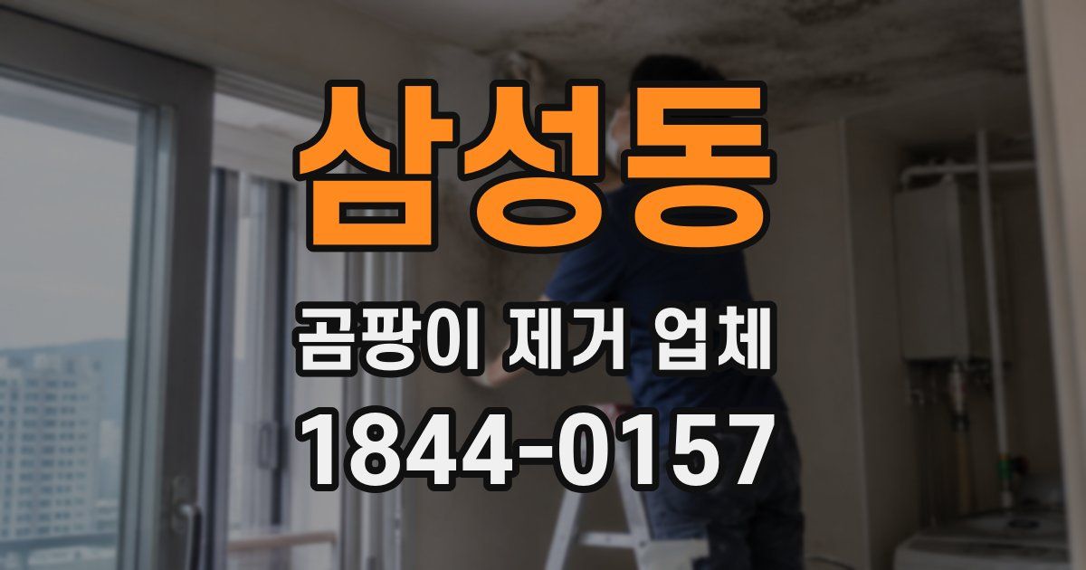 삼성동 곰팡이 제거 업체