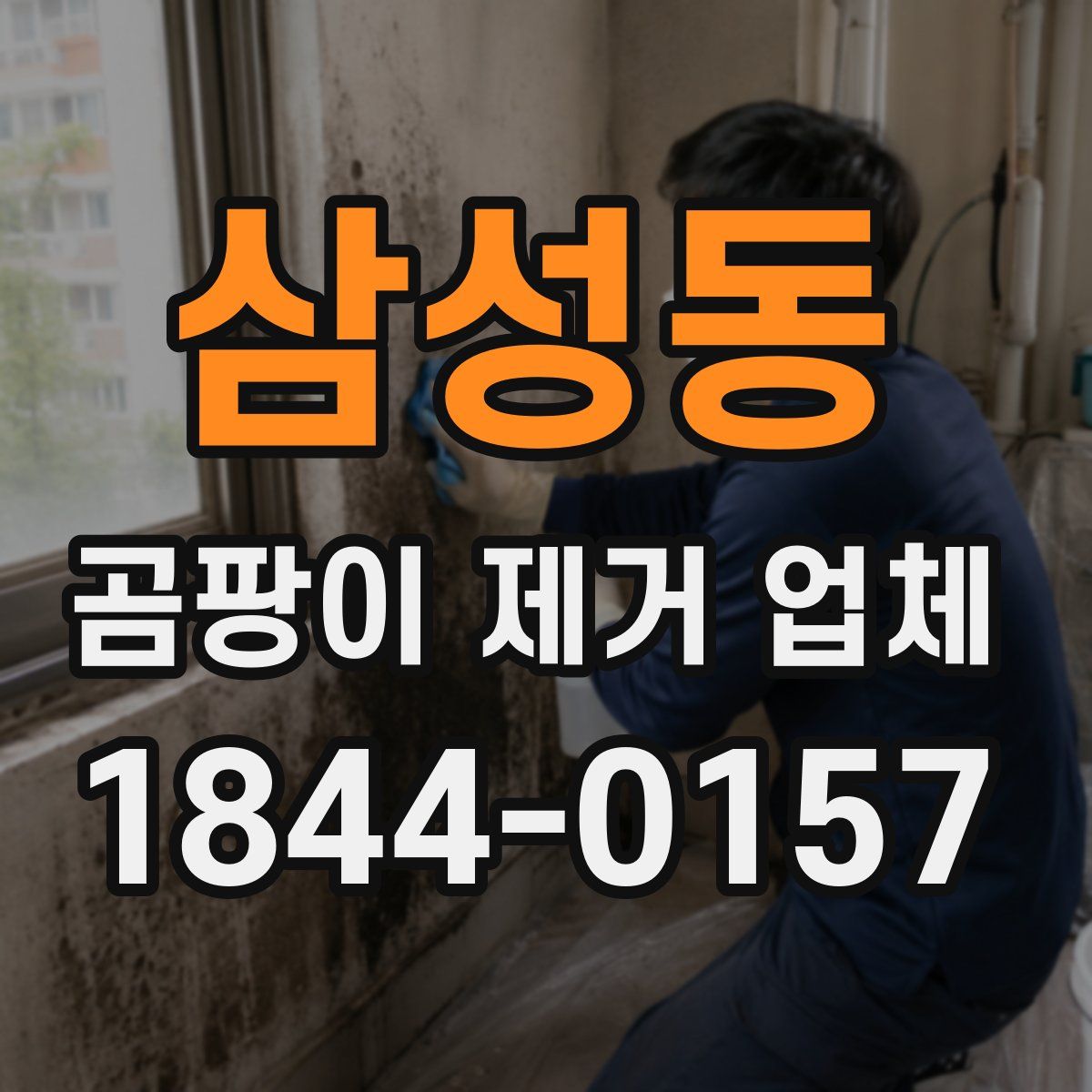 삼성동 곰팡이 제거 업체