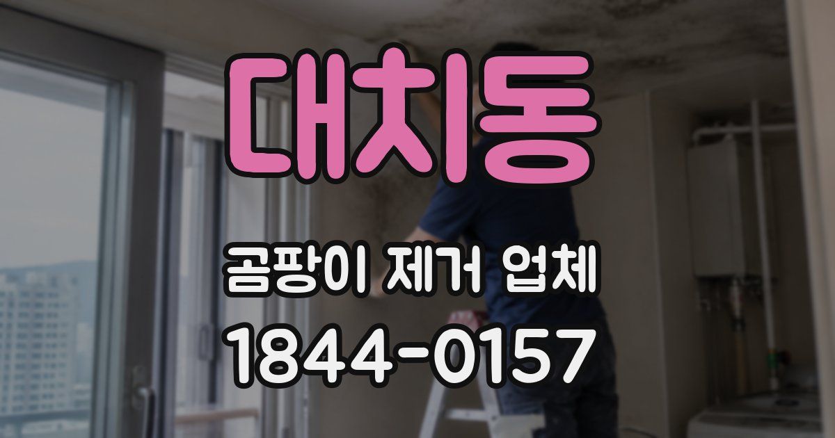 대치동 곰팡이 제거 업체