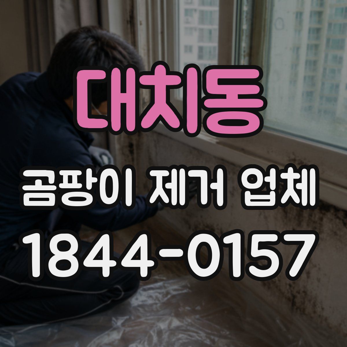 대치동 곰팡이 제거 업체