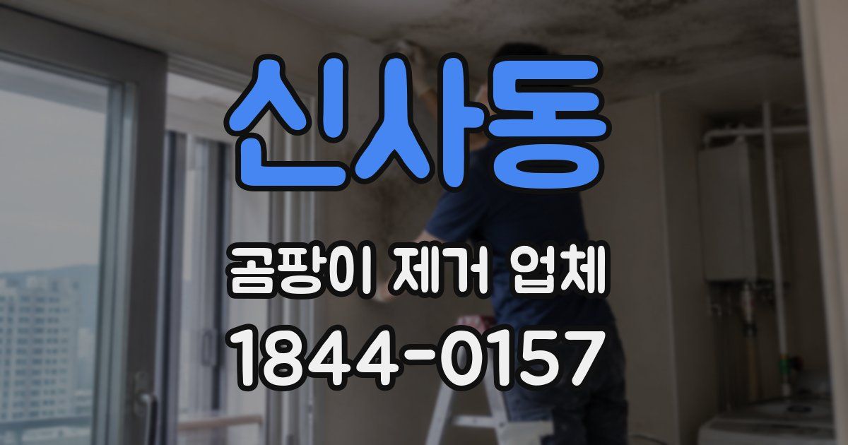 신사동 곰팡이 제거 업체