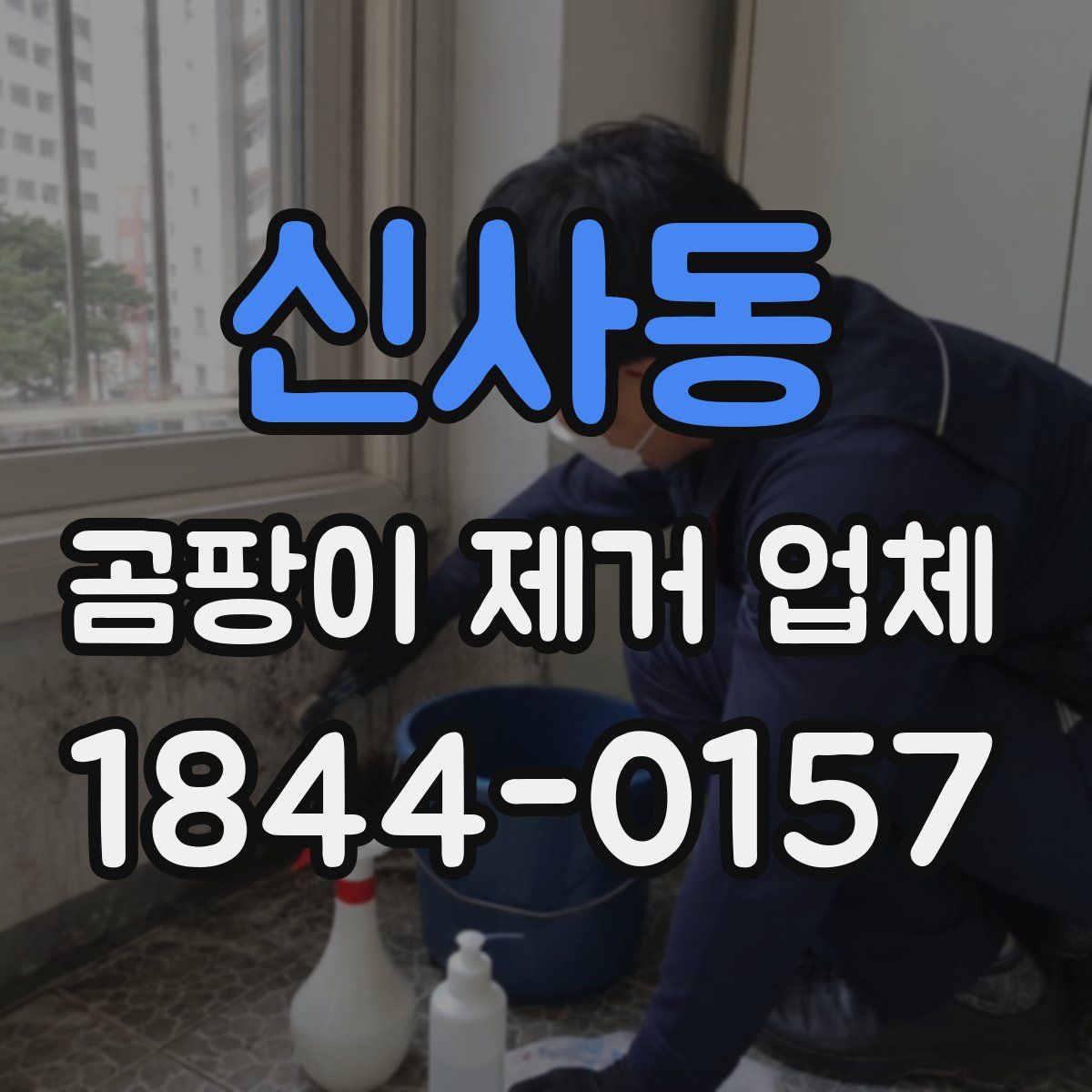 신사동 곰팡이 제거 업체