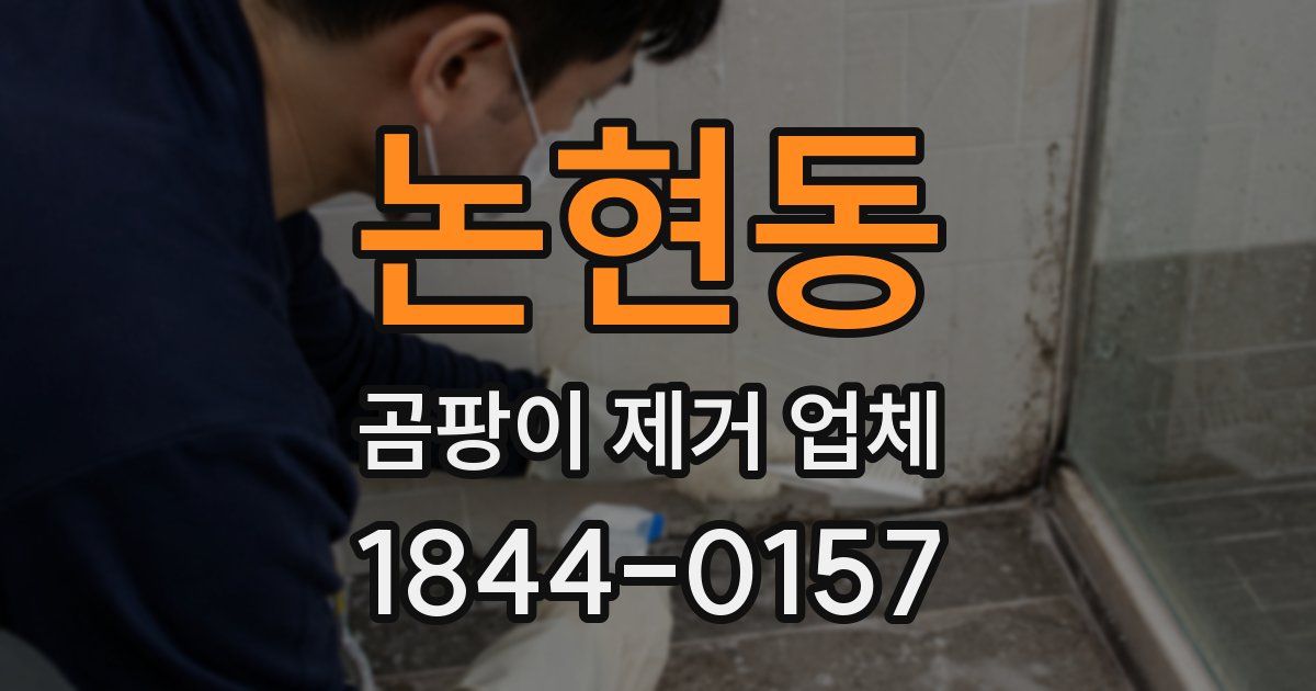 논현동 곰팡이 제거 업체