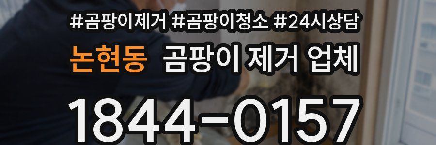 논현동 곰팡이 제거 업체