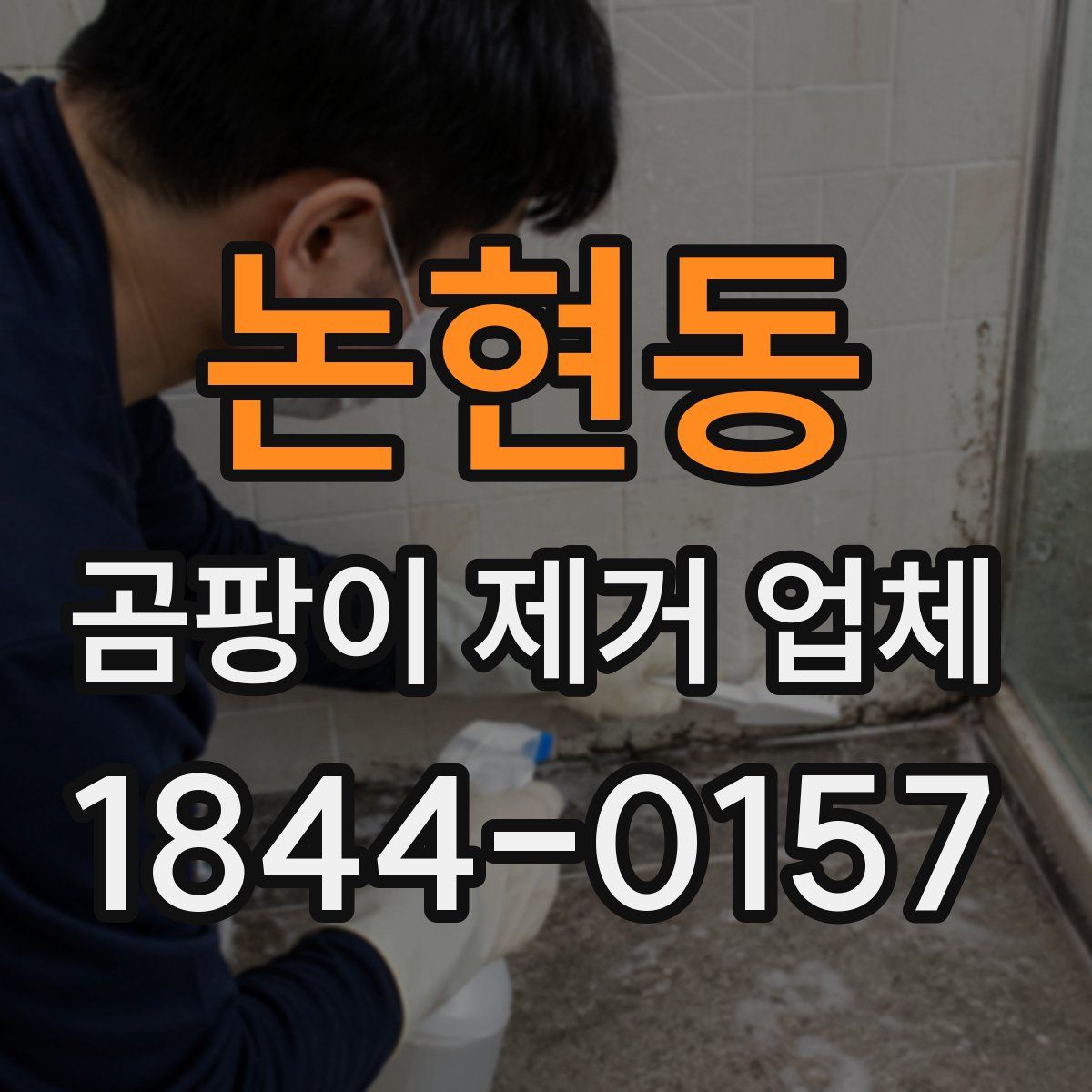논현동 곰팡이 제거 업체