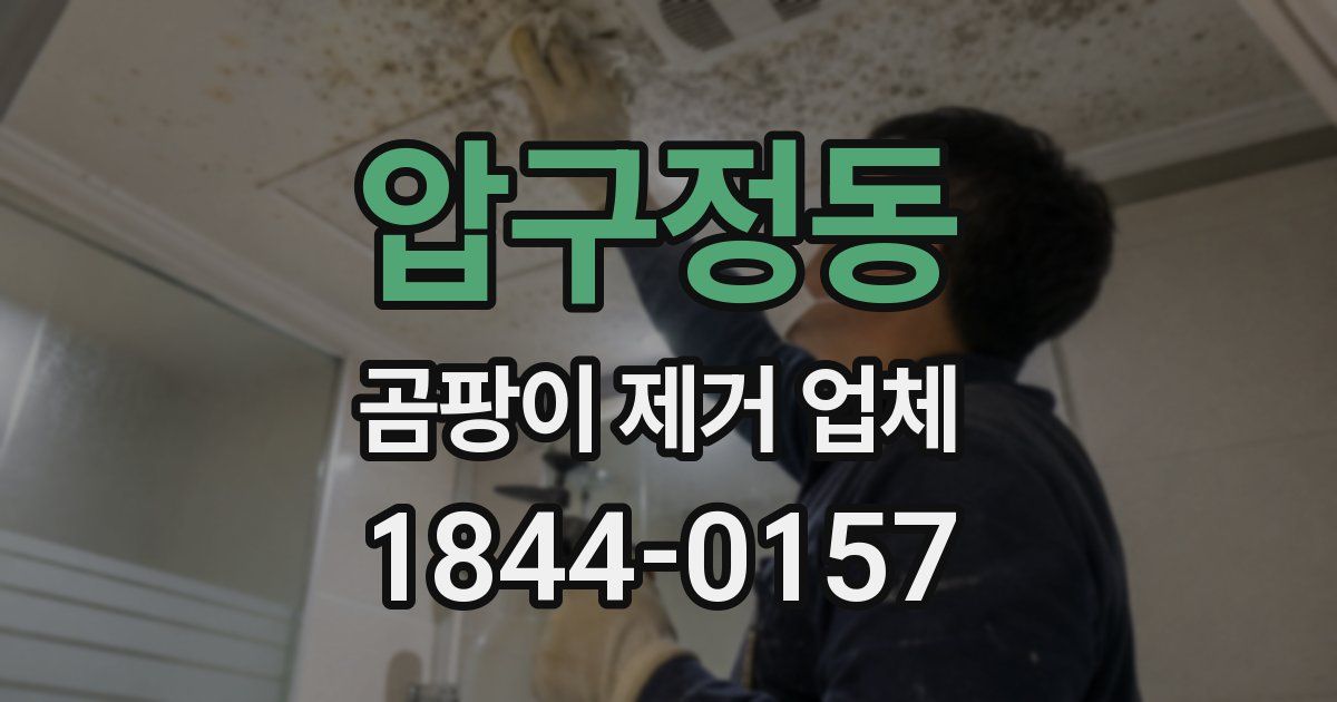 압구정동 곰팡이 제거 업체