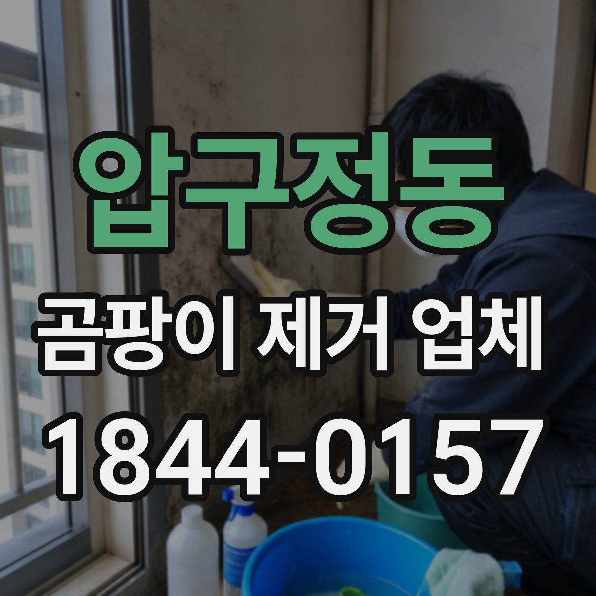압구정동 곰팡이 제거 업체