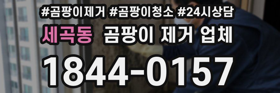 세곡동 곰팡이 제거 업체