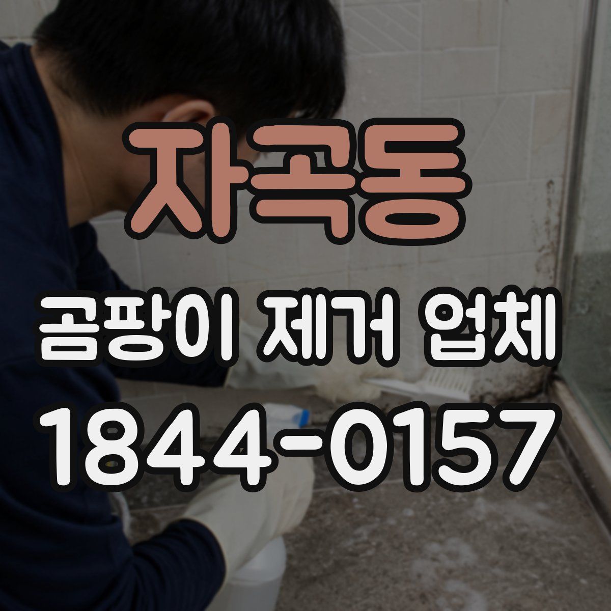 자곡동 곰팡이 제거 업체