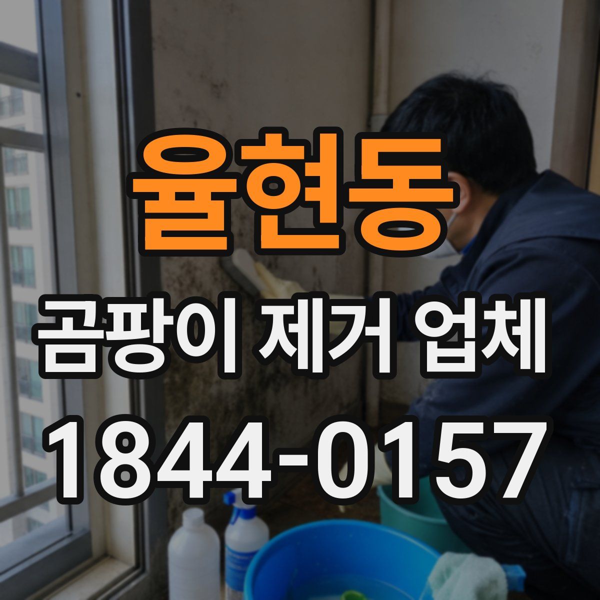 율현동 곰팡이 제거 업체