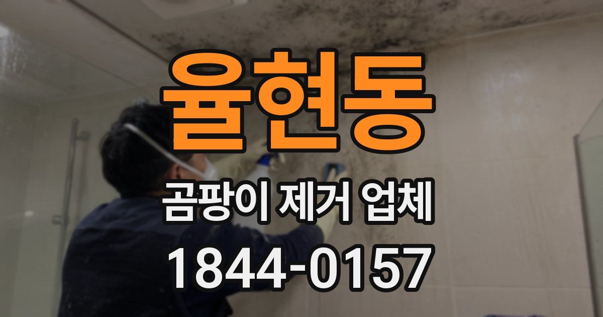 율현동 곰팡이 제거 업체