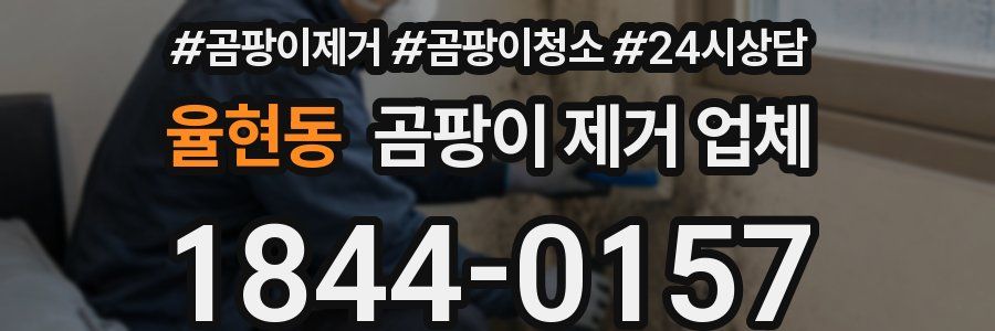 율현동 곰팡이 제거 업체