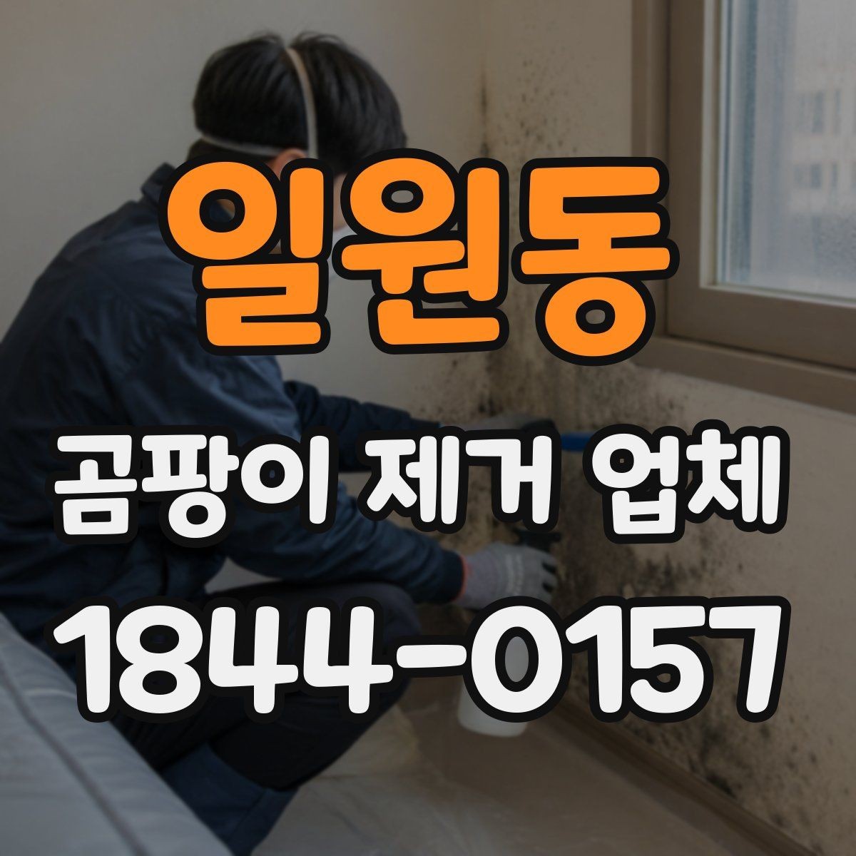 일원동 곰팡이 제거 업체 공용 벽면 번짐 여부를 확인하는 현장 진단