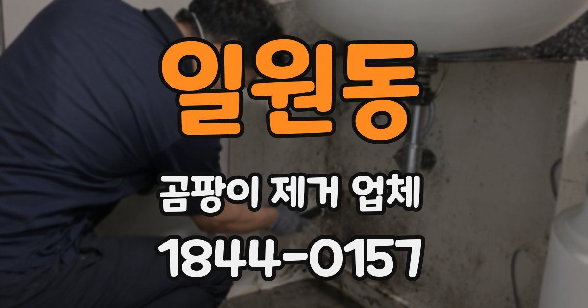 일원동 곰팡이 제거 업체