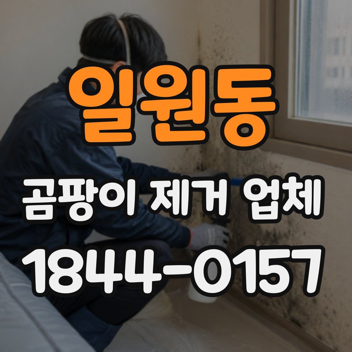 일원동 곰팡이 제거 업체