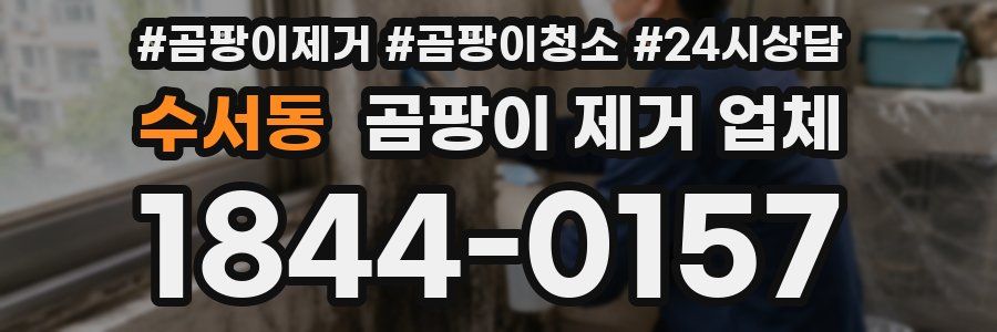 수서동 곰팡이 제거 업체