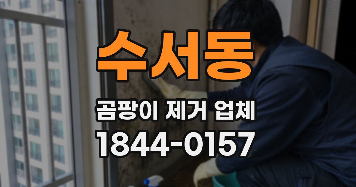 수서동 곰팡이 제거 업체