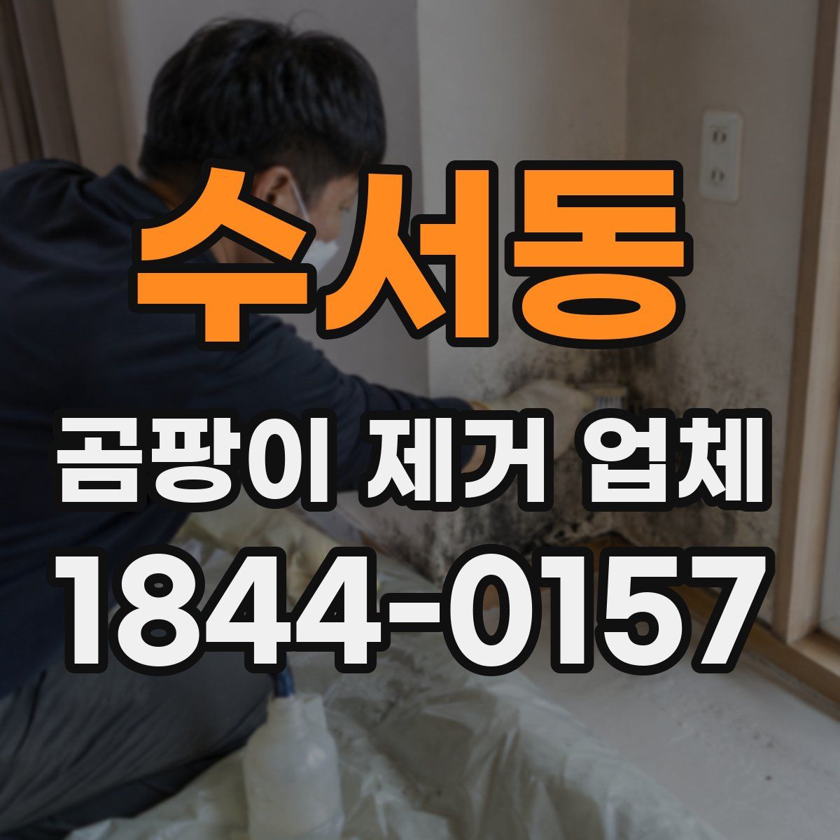 수서동 곰팡이 제거 업체