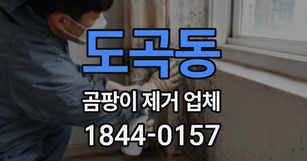 도곡동 곰팡이 제거 업체