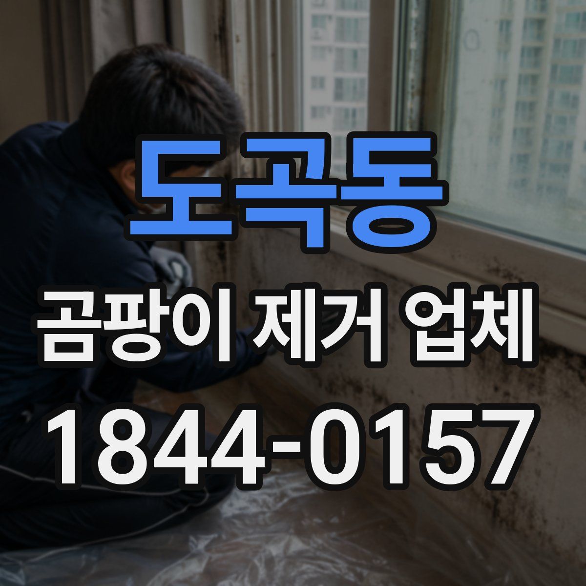 도곡동 곰팡이 제거 업체