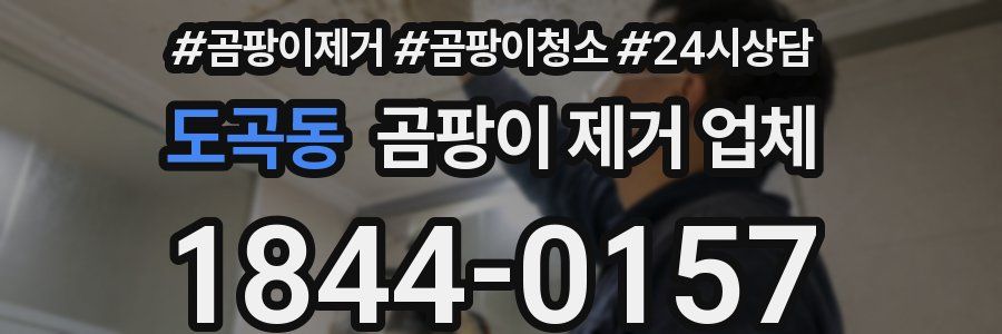 도곡동 곰팡이 제거 업체