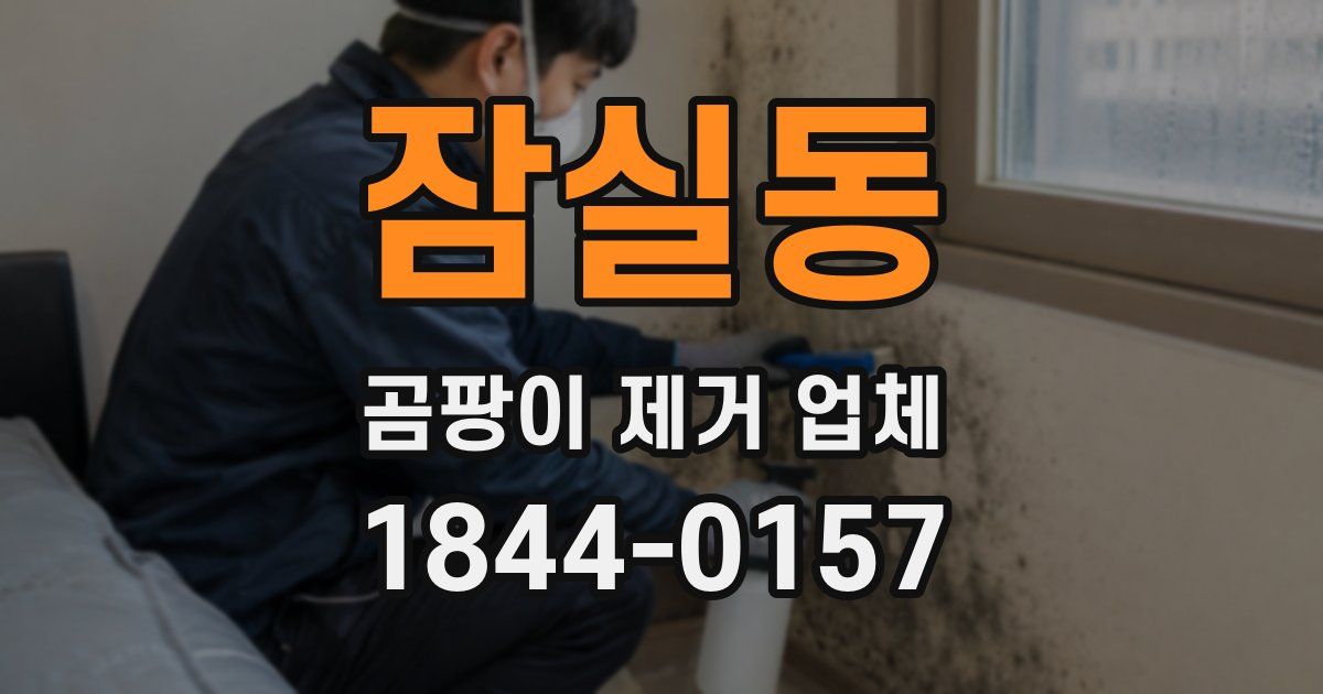 잠실동 곰팡이 제거 업체
