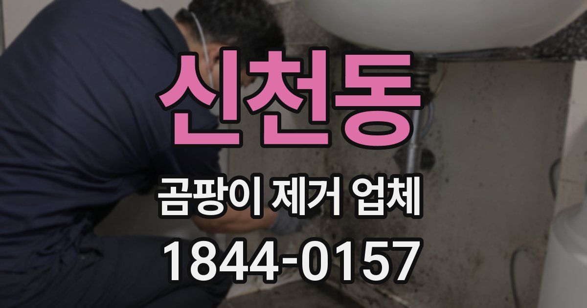 신천동 곰팡이 제거 업체