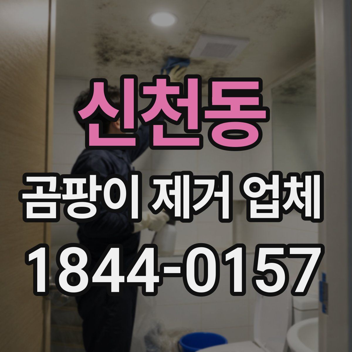 신천동 곰팡이 제거 업체