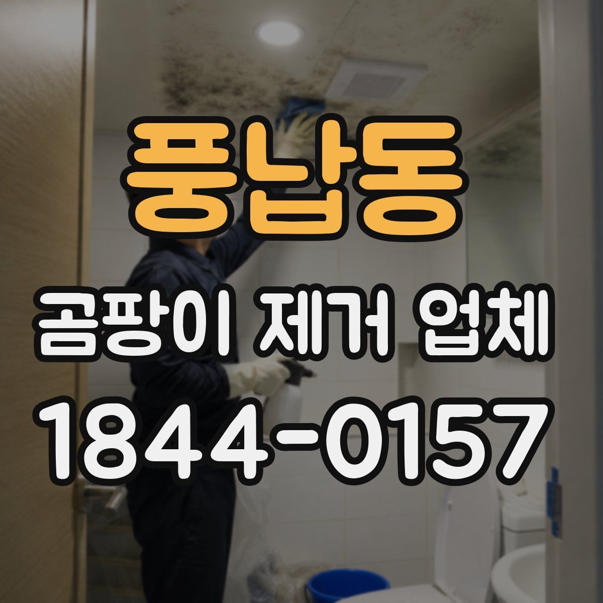 풍납동 곰팡이 제거 업체