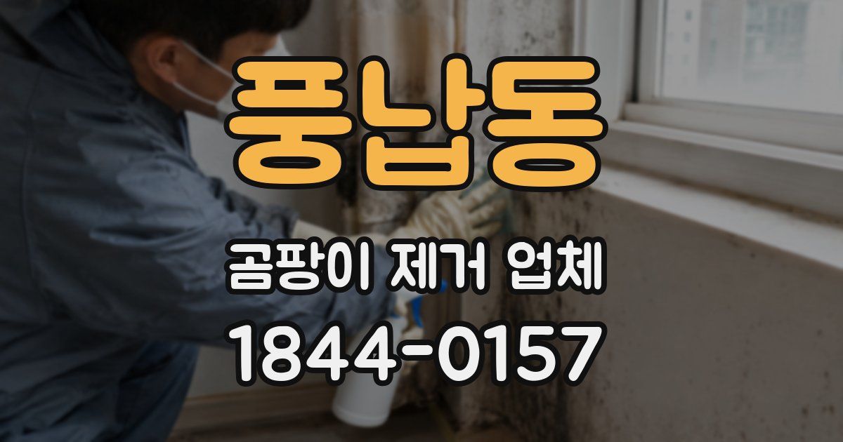 풍납동 곰팡이 제거 업체
