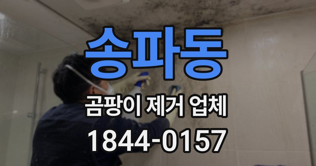 송파동 곰팡이 제거 업체