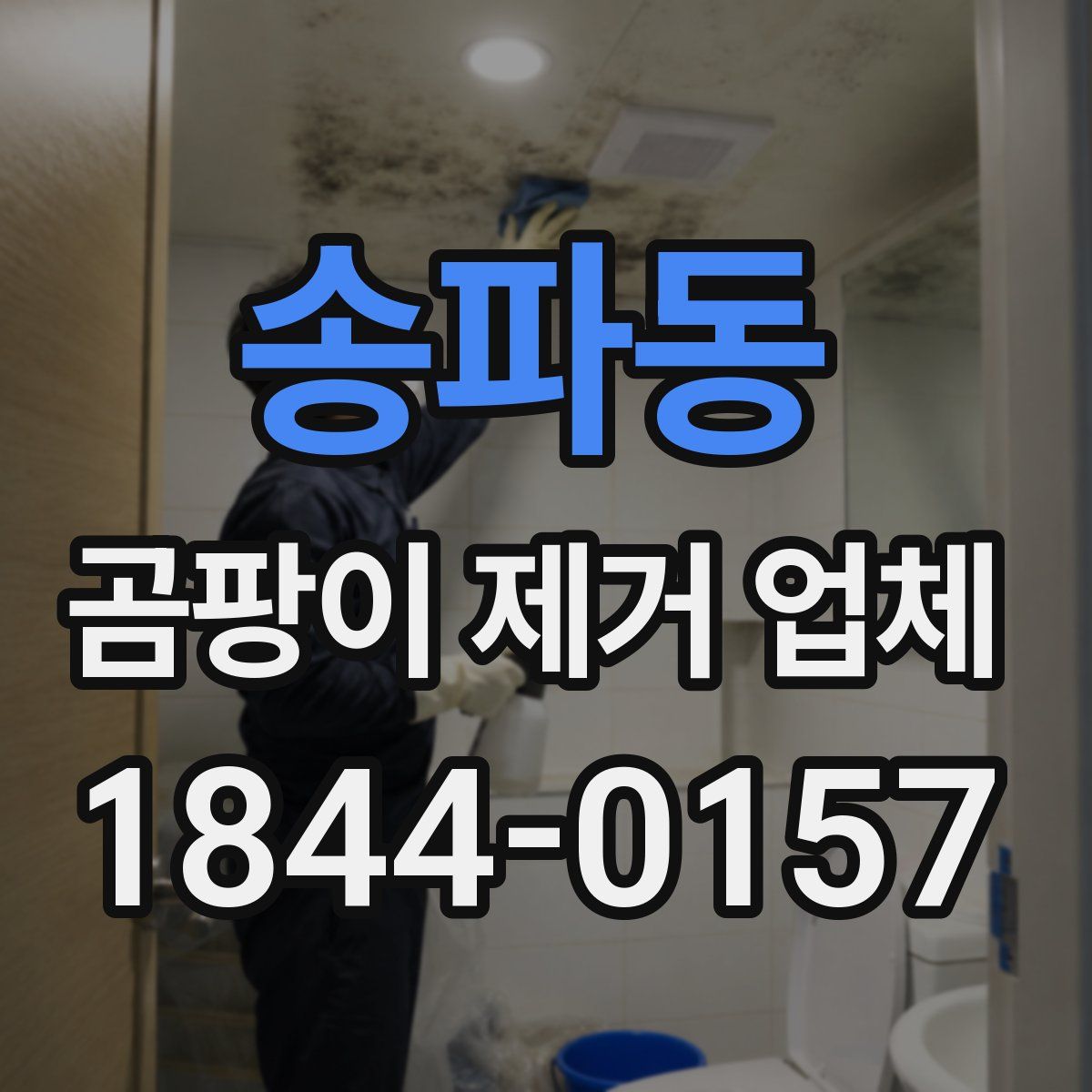 송파동 곰팡이 제거 업체