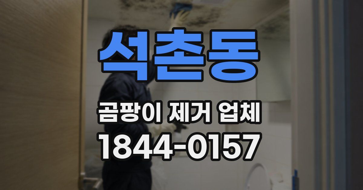 석촌동 곰팡이 제거 업체