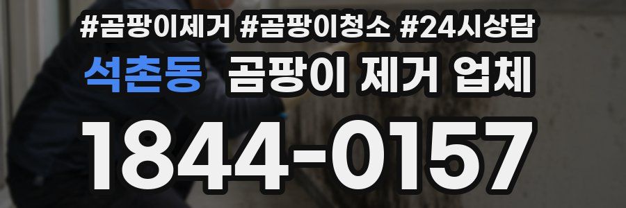 석촌동 곰팡이 제거 업체