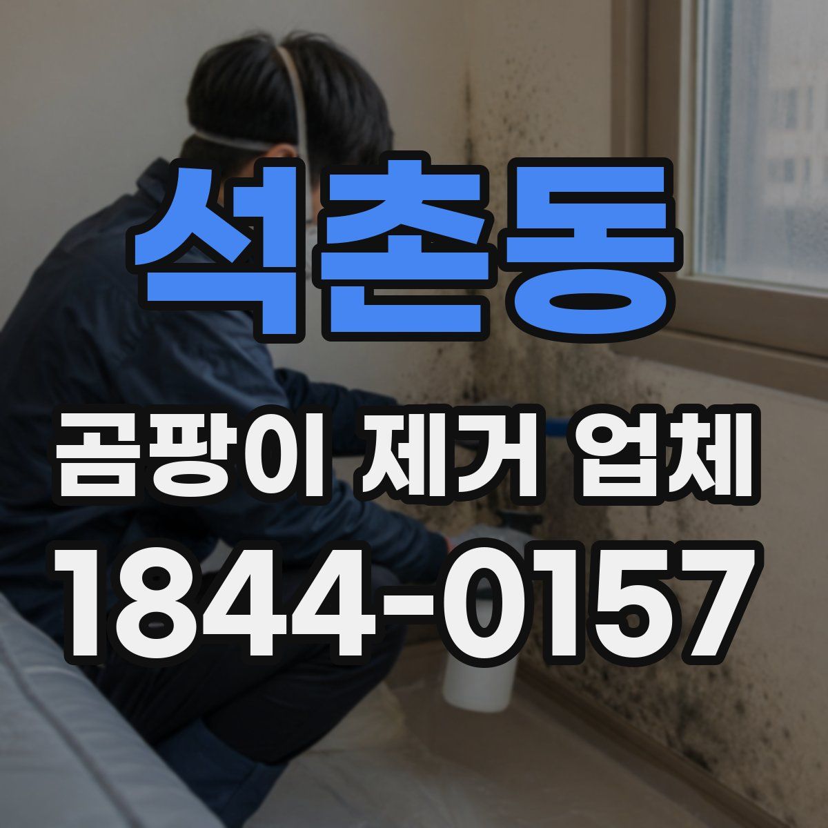 석촌동 곰팡이 제거 업체