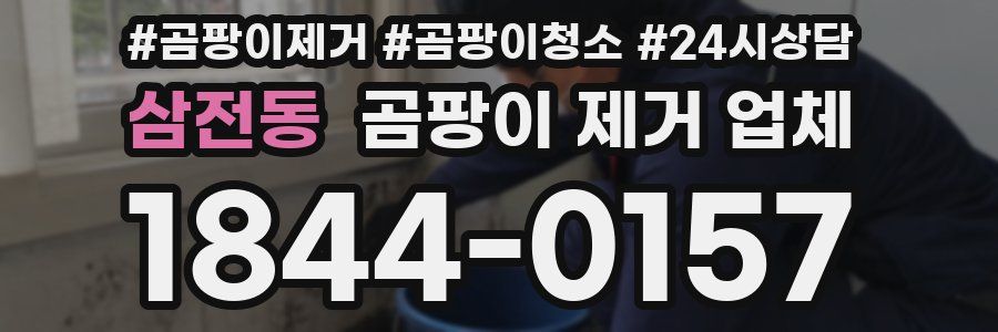 삼전동 곰팡이 제거 업체