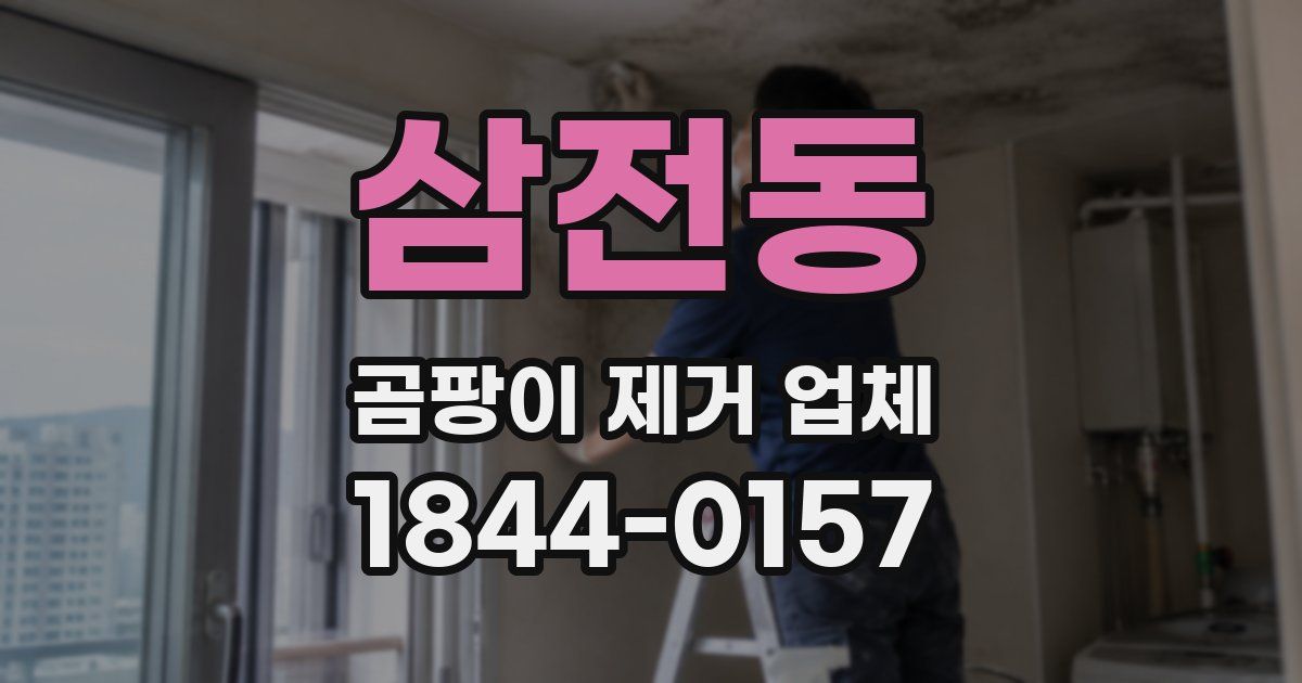 삼전동 곰팡이 제거 업체