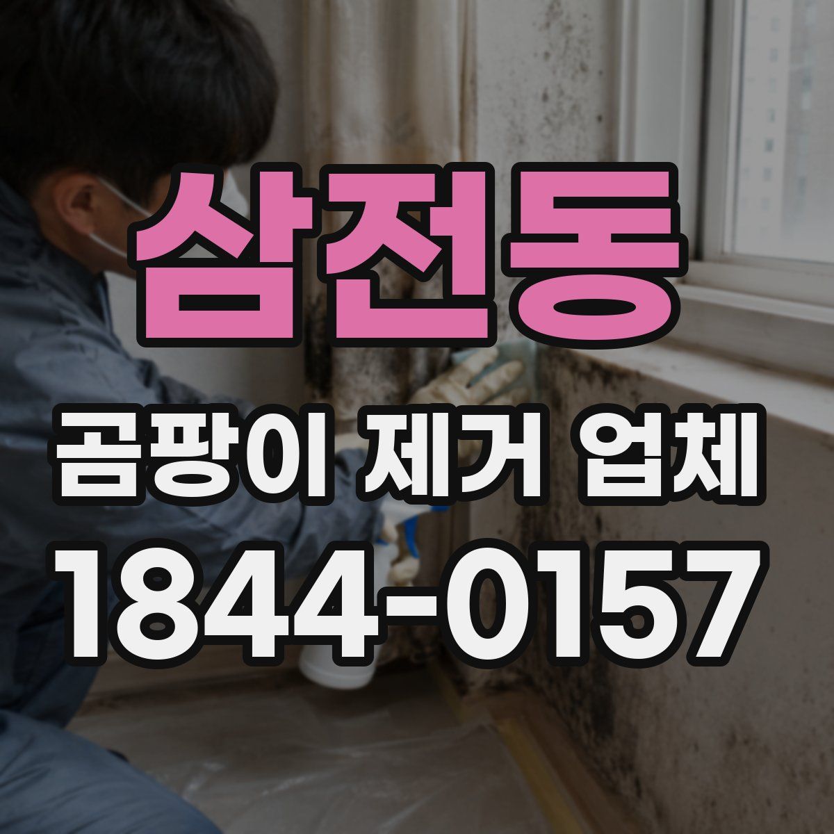삼전동 곰팡이 제거 업체