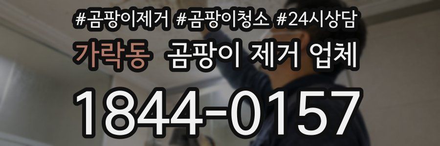 가락동 곰팡이 제거 업체