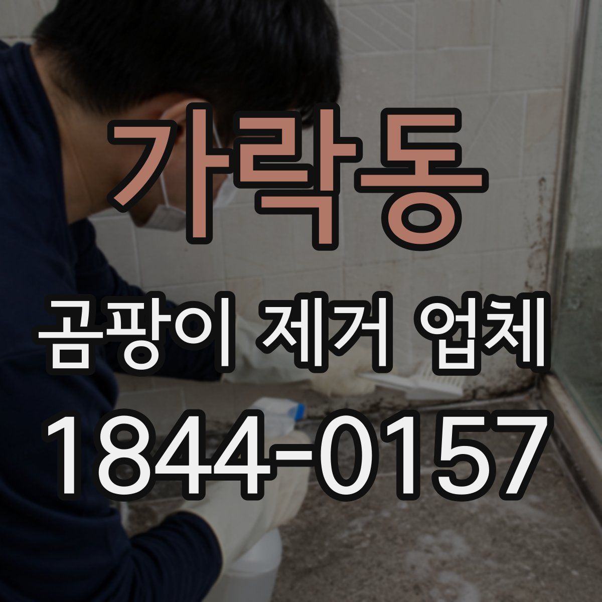 가락동 곰팡이 제거 업체