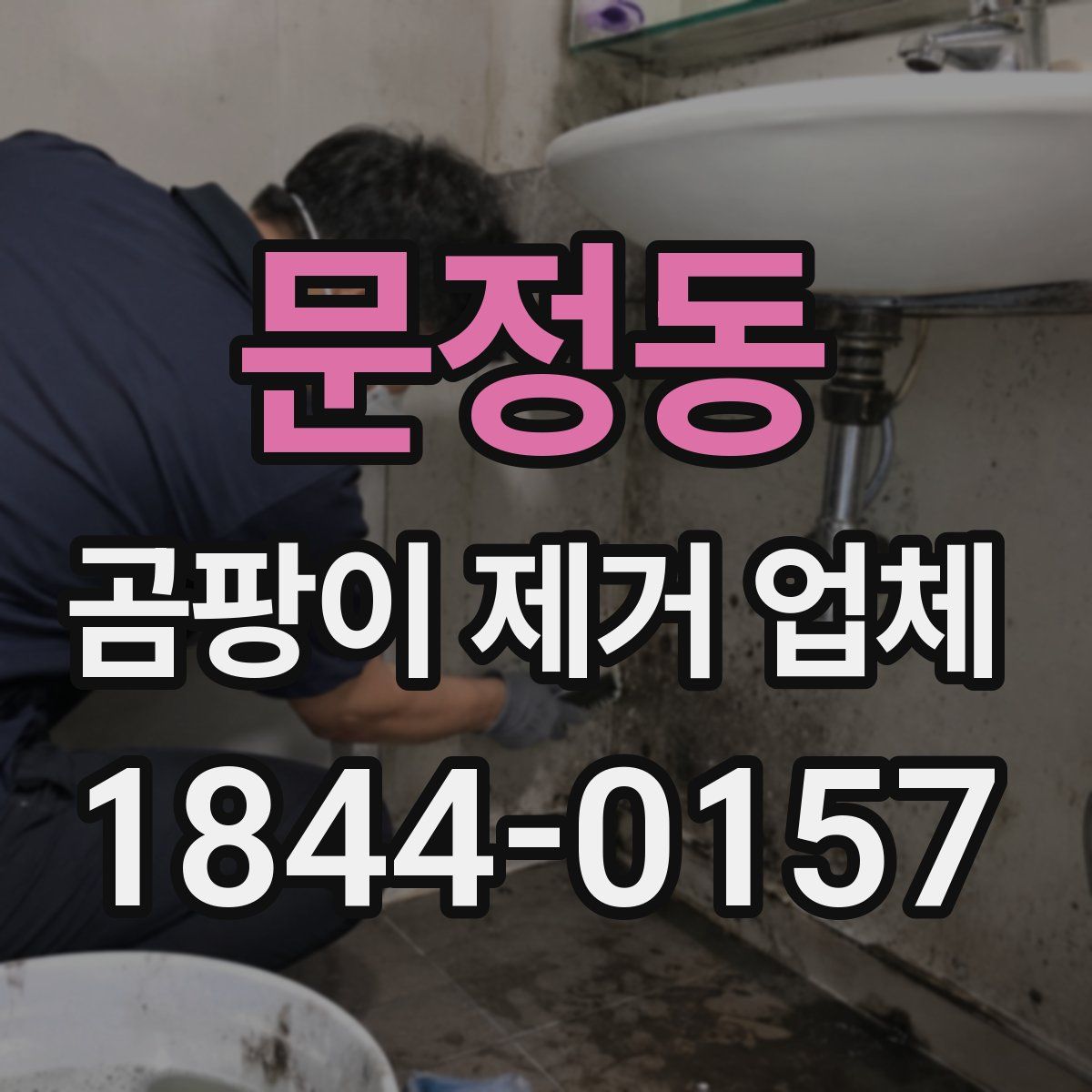 문정동 곰팡이 제거 업체