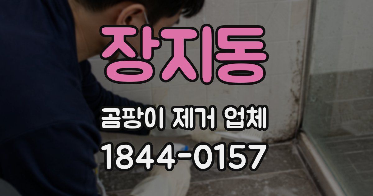 장지동 곰팡이 제거 업체