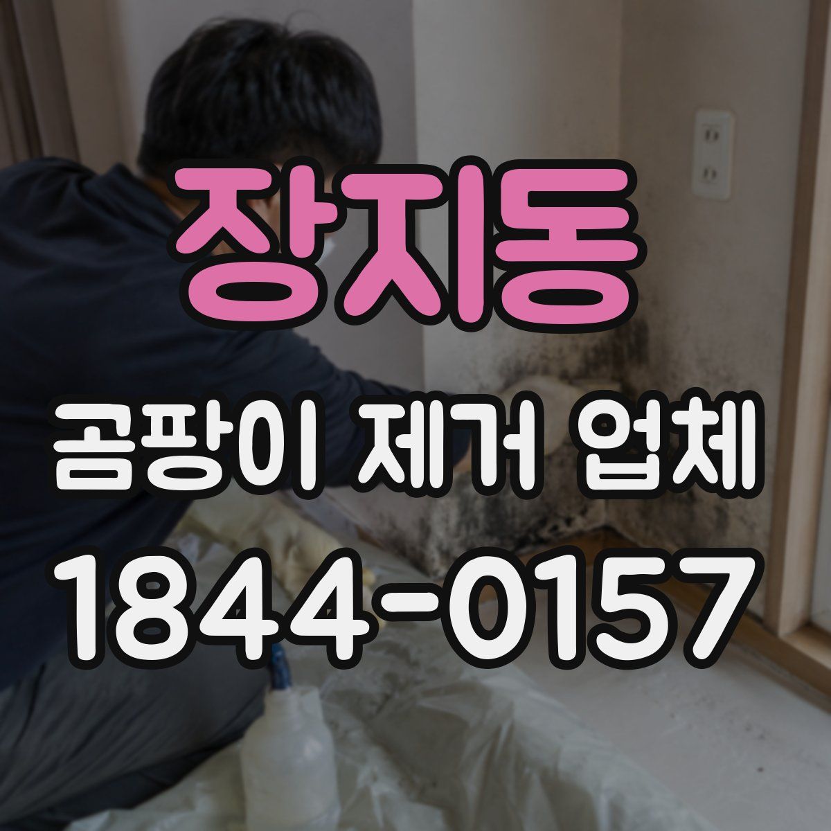 장지동 곰팡이 제거 업체