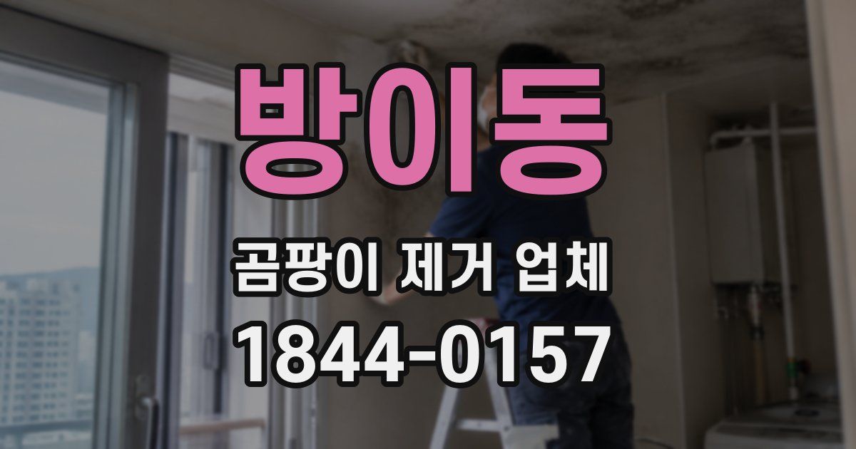 방이동 곰팡이 제거 업체